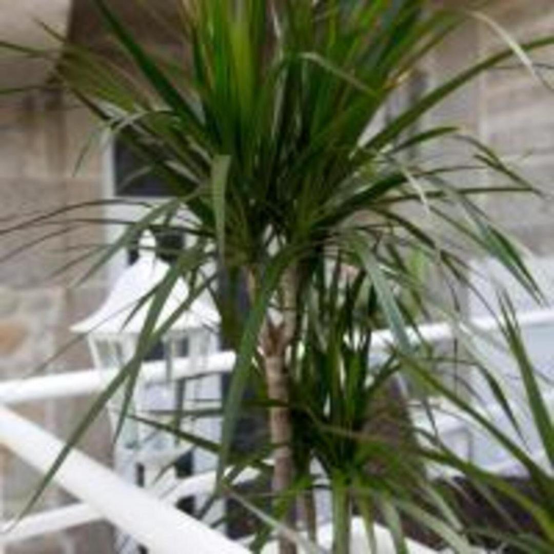 Guestready - Comendador Sto Ildefonso Porto Luaran gambar